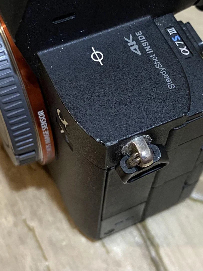 Sony α7S III (ILCE-7SM3) Full-Frame Mirrorless Camera Body + Cage  4K 120p